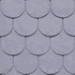 coquettes1.jpg